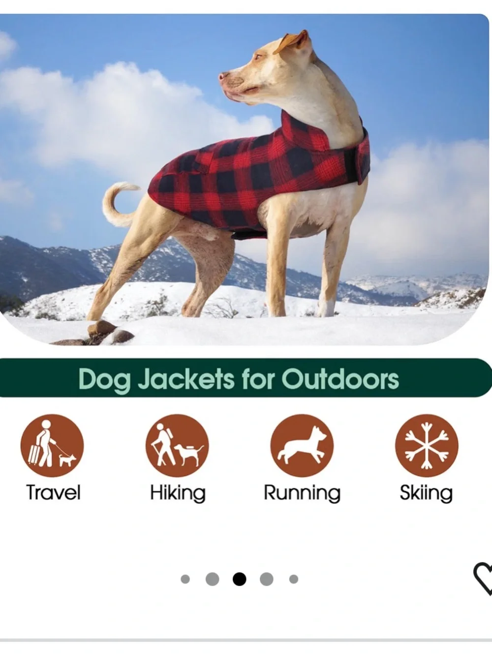 Winter coat for dogs, reversible jacket